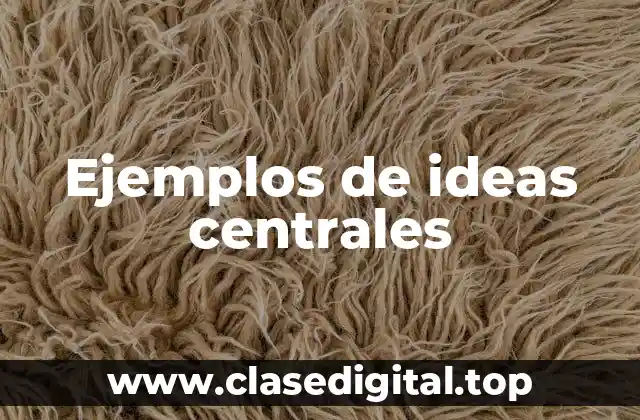 Ejemplos de ideas centrales
