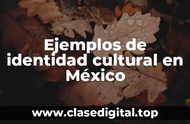 Ejemplos de identidad cultural en México
