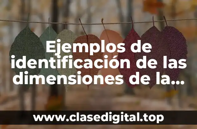 Ejemplos de identificación de las dimensiones de la política educativa