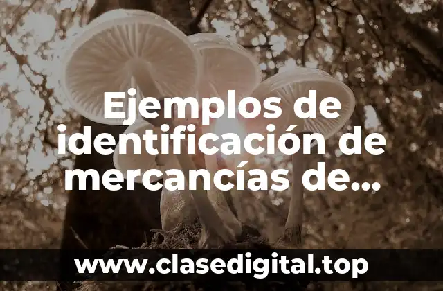Ejemplos de identificación de mercancías de comercio exterior