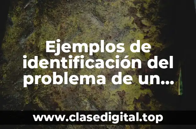 Ejemplos de identificación del problema de un proyecto