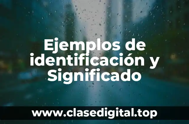 Ejemplos de identificación y Significado