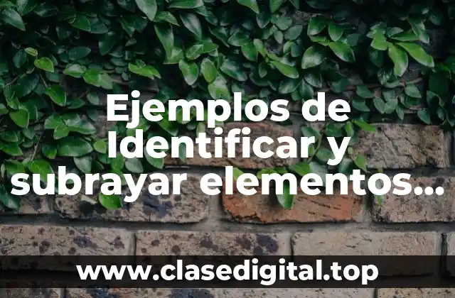 Ejemplos de Identificar y subrayar elementos de una oración