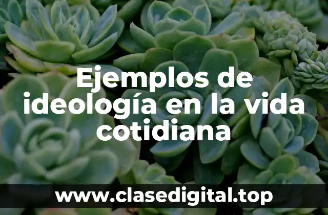 Ejemplos de ideología en la vida cotidiana