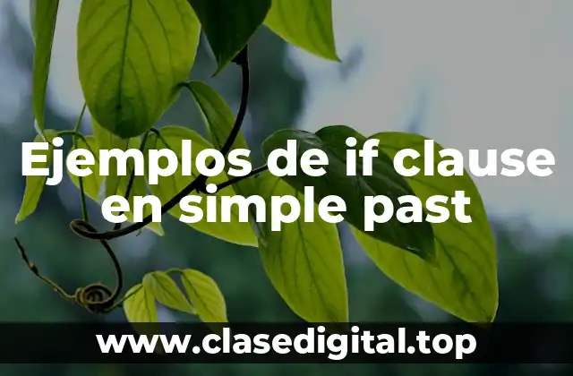 Ejemplos de if clause en simple past