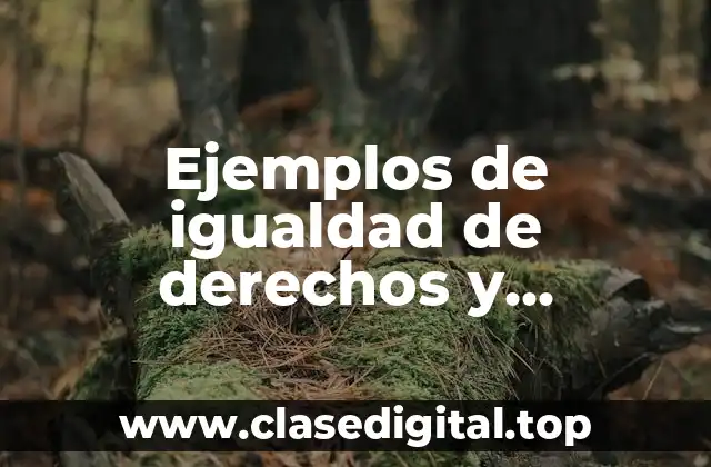 Ejemplos de igualdad de derechos y oportunidades