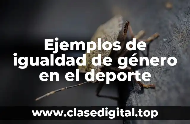 Ejemplos de igualdad de género en el deporte