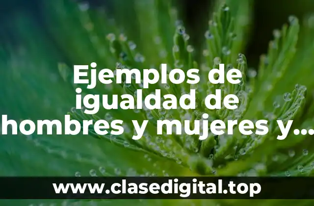 Ejemplos de igualdad de hombres y mujeres y Significado