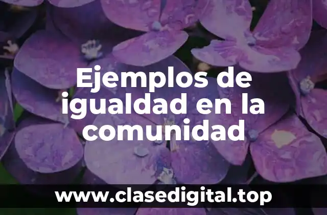 Ejemplos de igualdad en la comunidad