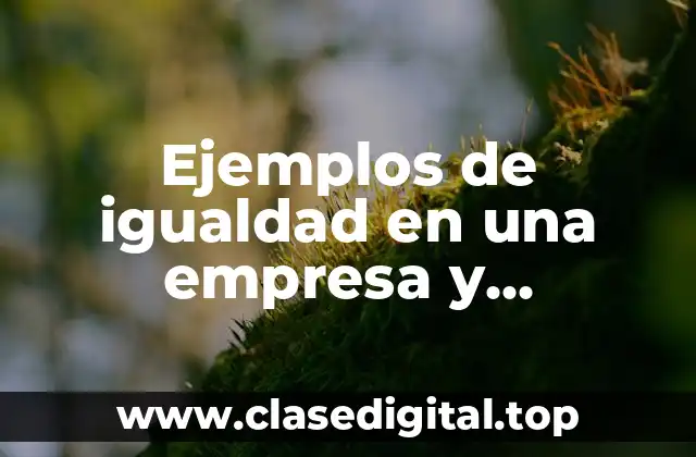 Ejemplos de igualdad en una empresa