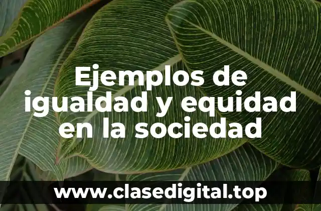 Ejemplos de igualdad y equidad en la sociedad
