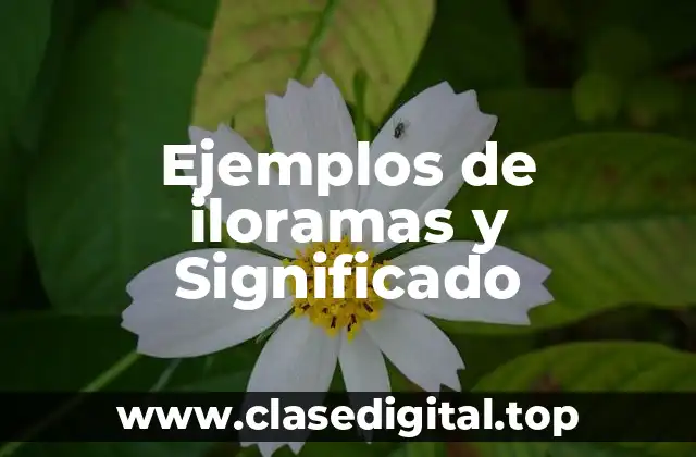 Ejemplos de iloramas y Significado
