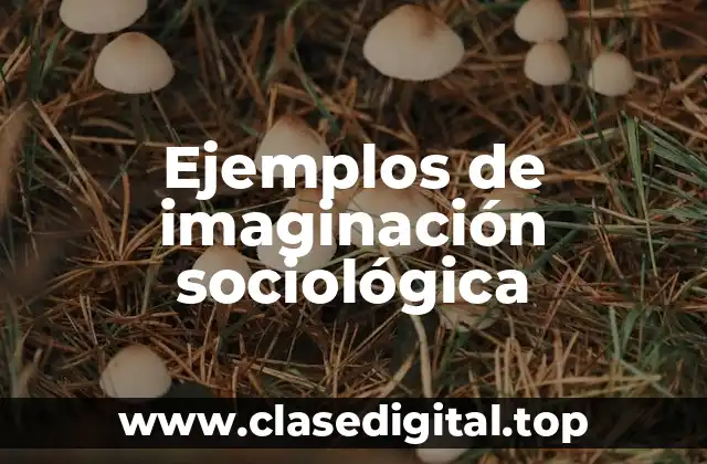 Ejemplos de imaginación sociológica