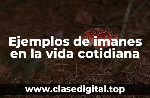 Ejemplos de imanes en la vida cotidiana