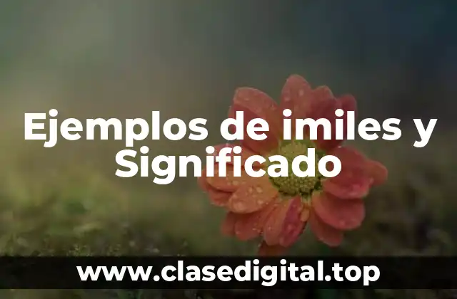 Ejemplos de imiles y Significado