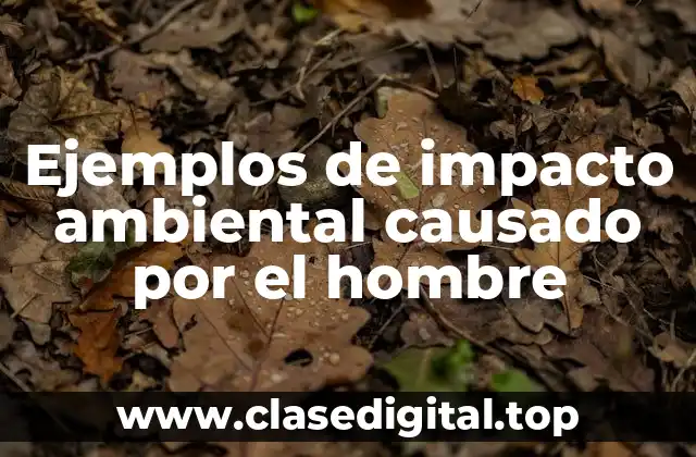 Ejemplos de impacto ambiental causado por el hombre