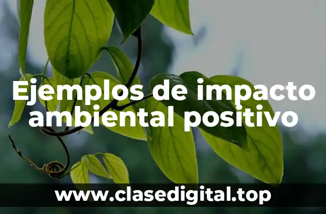 Ejemplos de impacto ambiental positivo