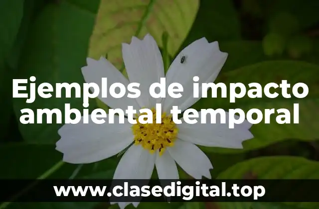 Ejemplos de impacto ambiental temporal