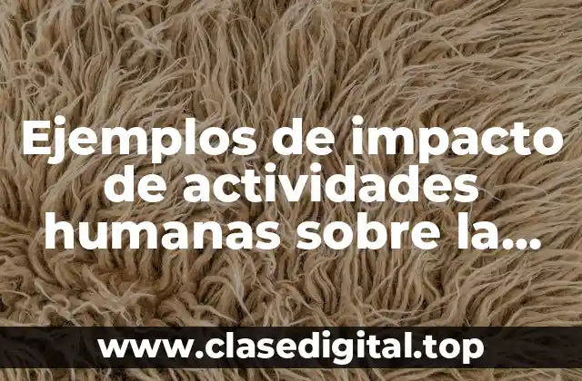 Ejemplos de impacto de actividades humanas sobre la naturaleza