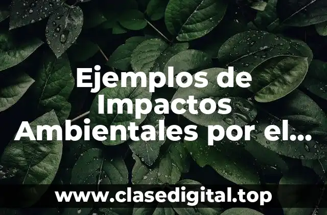 Ejemplos de Impactos Ambientales por el Turismo de Naturaleza