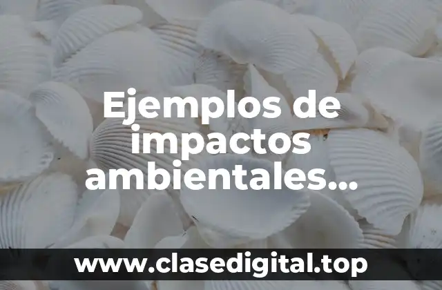 Ejemplos de impactos ambientales utilizando los cuatro conceptos de