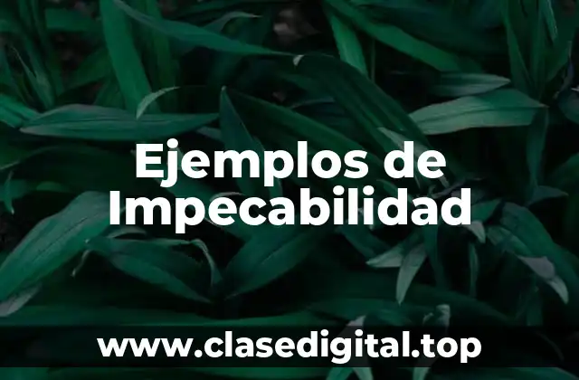 Ejemplos de Impecabilidad