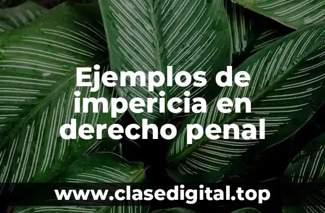 Ejemplos de impericia en derecho penal