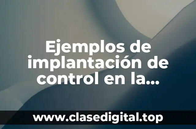 Ejemplos de implantación de control en la organización empresarial y Significado