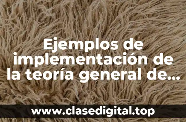 Ejemplos de implementación de la teoría general de sistemas