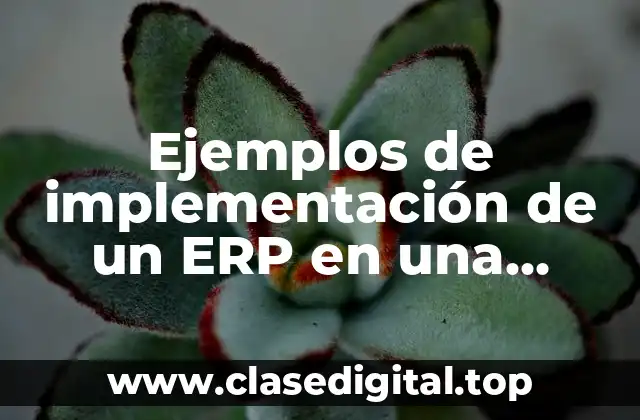 Ejemplos de implementación de un ERP en una empresa