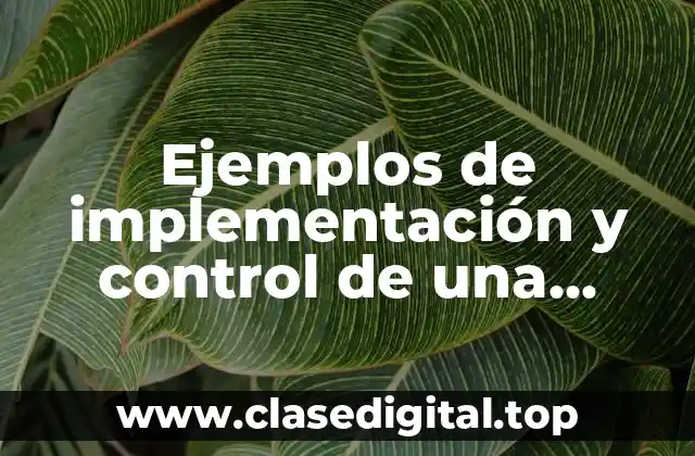 Ejemplos de implementación y control de una empresa de ropa