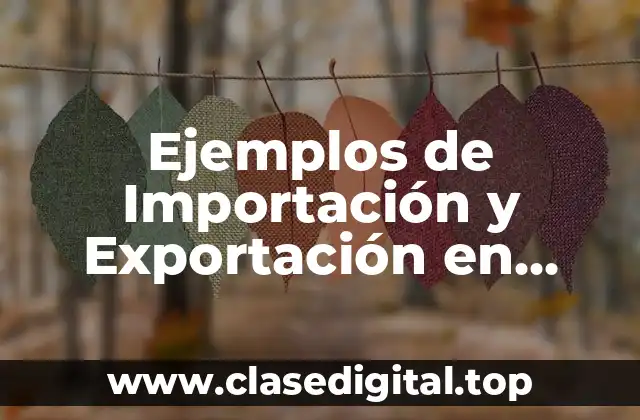 Ejemplos de Importación y Exportación en México