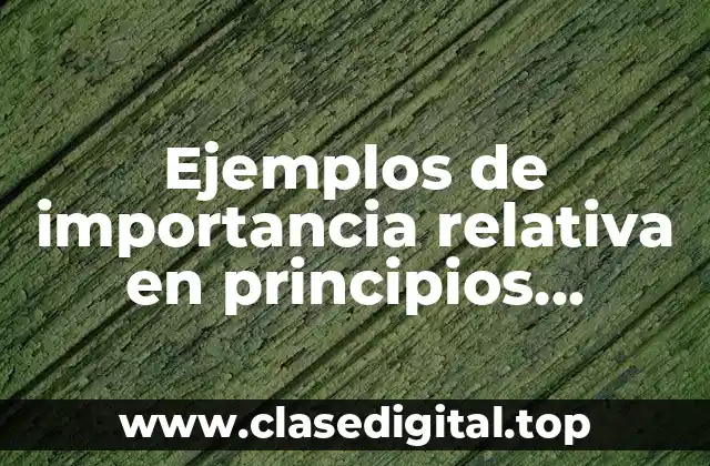 Ejemplos de importancia relativa en principios contables