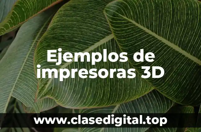 Ejemplos de impresoras 3D