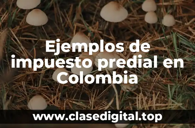 Ejemplos de impuesto predial en Colombia