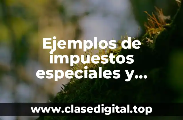 Ejemplos de impuestos especiales y Significado