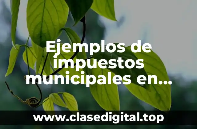 Ejemplos de impuestos municipales en Colombia