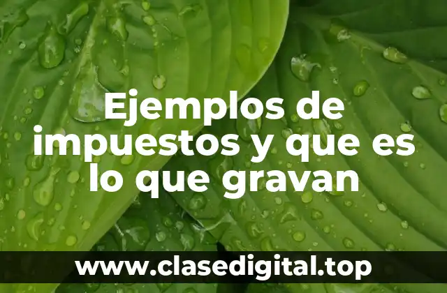 Ejemplos de impuestos y que es lo que gravan
