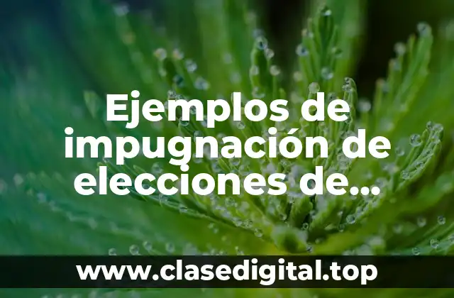 Ejemplos de impugnación de elecciones de secretario del IMSS