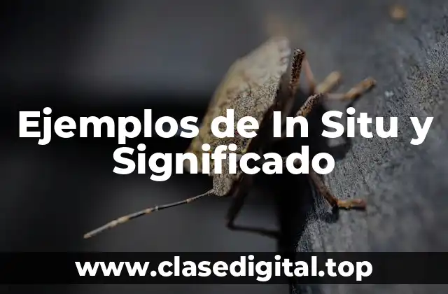 Ejemplos de In Situ y Significado