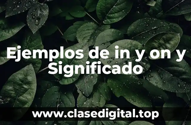 Ejemplos de in y on y Significado