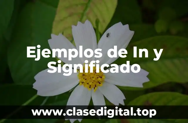 Ejemplos de In y Significado