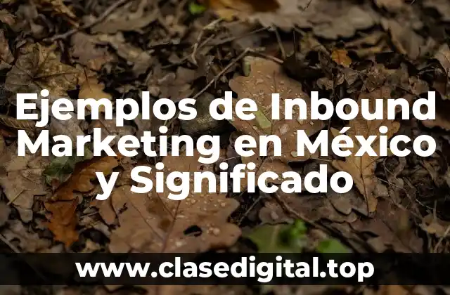 Ejemplos de Inbound Marketing en México y Significado