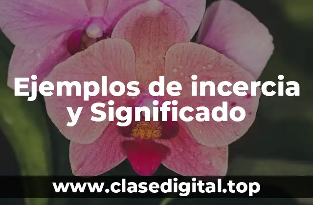 Ejemplos de incercia y Significado