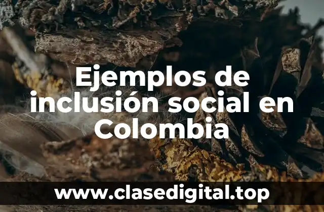 Ejemplos de inclusión social en Colombia