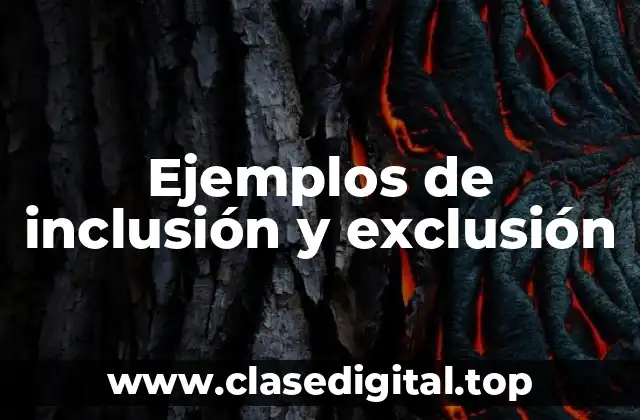 Ejemplos de inclusión y exclusión