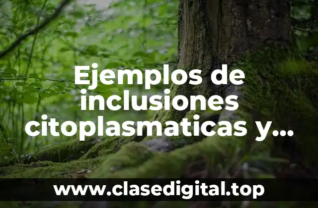Ejemplos de inclusiones citoplasmaticas y Significado