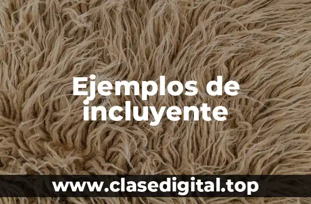Ejemplos de incluyente