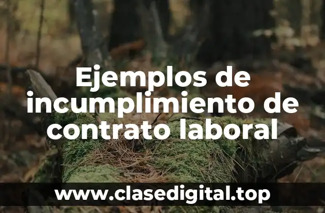Ejemplos de incumplimiento de contrato laboral