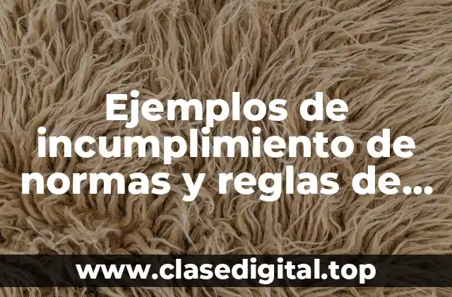 Ejemplos de incumplimiento de normas y reglas de tráfico y Significado
